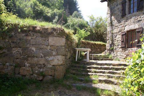 photo no. 14