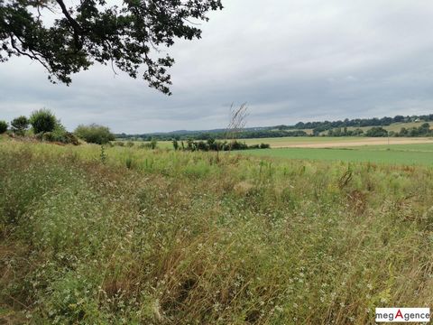 photo no. 4