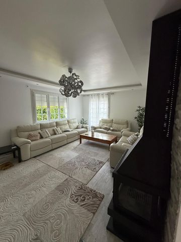 photo no. 2