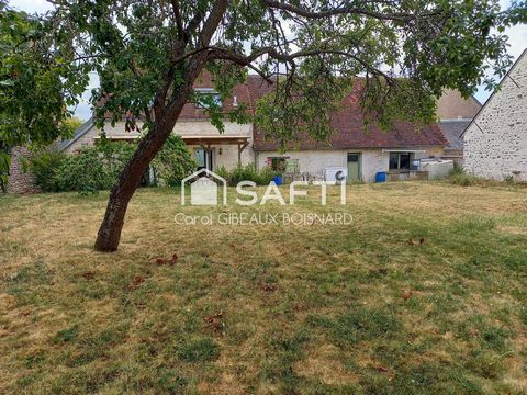 photo no. 13