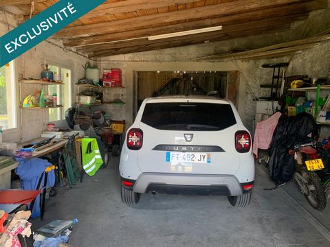 photo no. 11