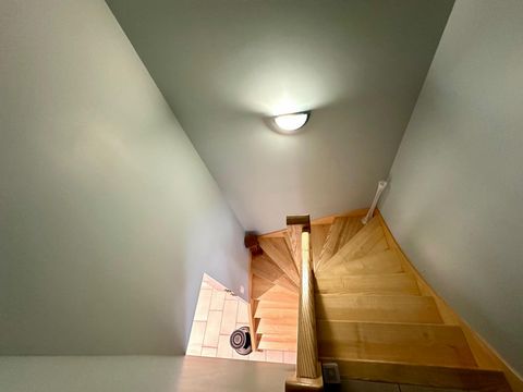 photo no. 6