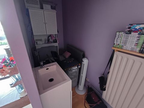 photo no. 15