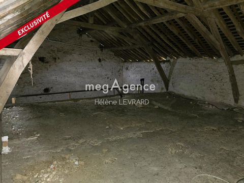 photo no. 7