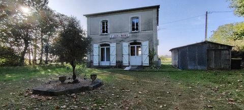 photo no. 2