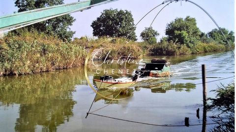 photo no. 2