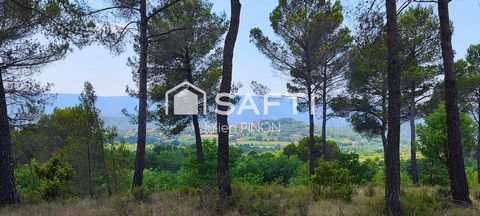 photo no. 13