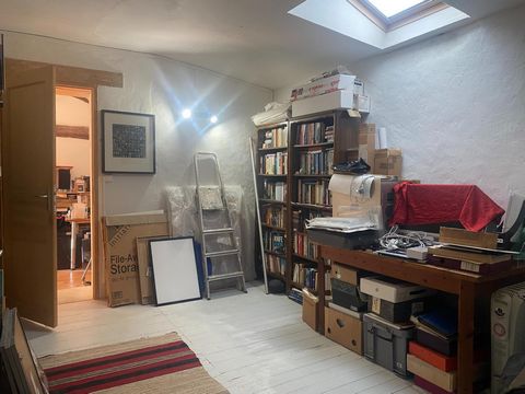 photo no. 11