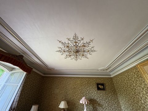 photo no. 7