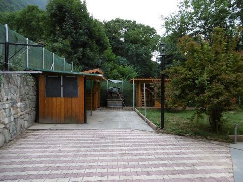 photo no. 1