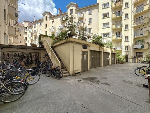 photo no. 8