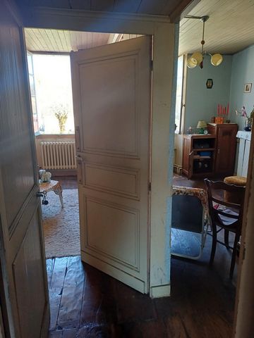 photo no. 10