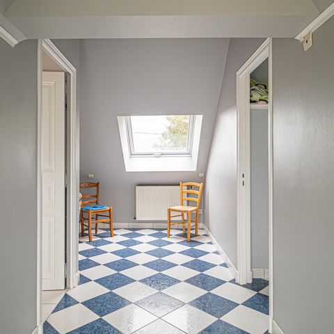 photo no. 11