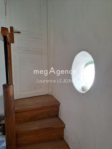 photo no. 5