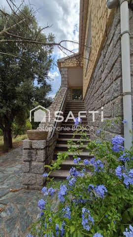 photo no. 9