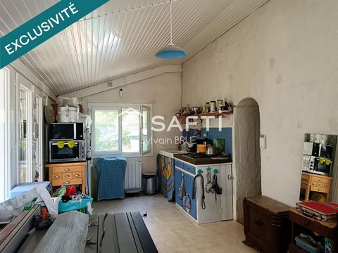 photo no. 2