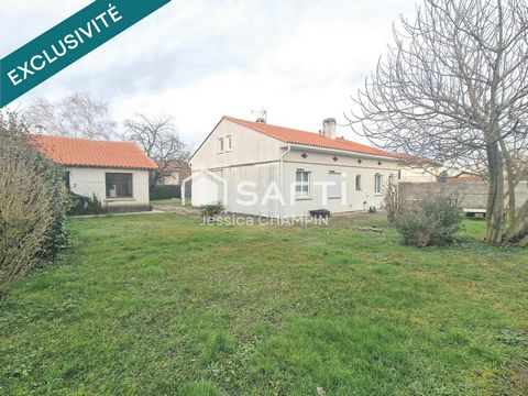 photo no. 15