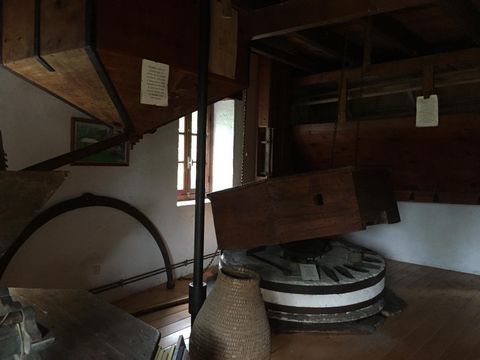 photo no. 9