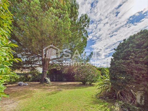 photo no. 18