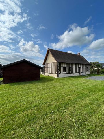 photo no. 15