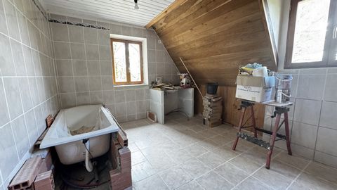 photo no. 12