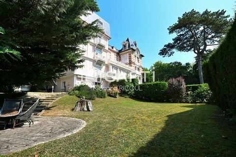 photo no. 12