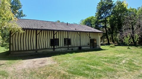 photo no. 13