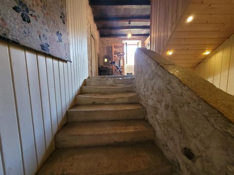 photo no. 11