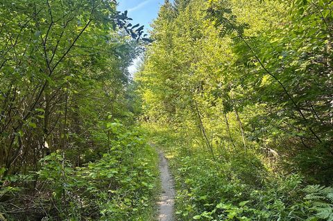 Un vaste terrain de jeu, une rareté en plein coeur de Beaupré ! Actuellement non constructible, ce terrain vous offre un espace unique pour profiter de la nature : sentiers, VTT, faire votre bois de chauffage, activités en plein air et bien plus enco...