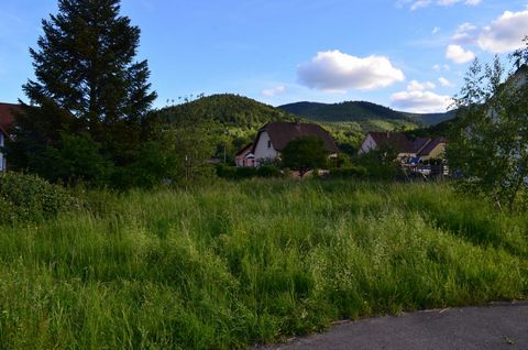Beau Terrain Plat Pour Construction Plein Ouest