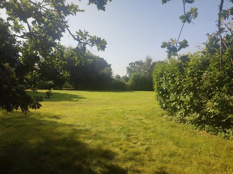 photo no. 4