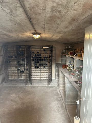 photo no. 6