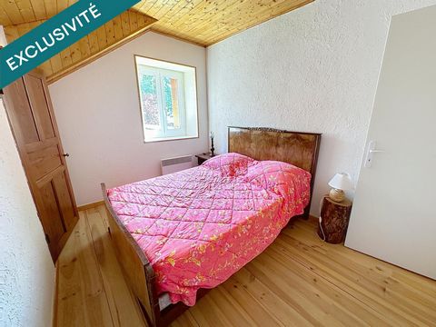 photo no. 11