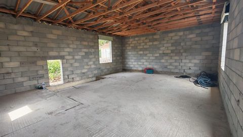 photo no. 2