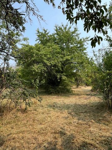 photo no. 13