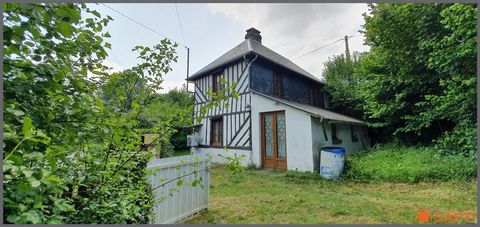 photo no. 10