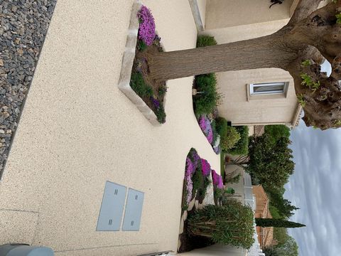 photo no. 13