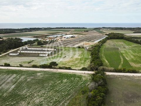 Estate, 6,252 ha of rustic land, in Odeceixe, Aljezur, Algarve. The property is part of the Costa Vicentina Natural Park and Irrigation Perimeter of Mira. The total covered area of the existing buildings is 1,980 sqm, between four warehouses and two ...
