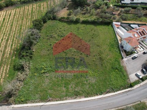 Land for construction of 4960sq.M in a quiet area and with an unobstructed view located in Gaeiras, Óbidos. 5 minutes from the historic Village of Óbidos and Caldas da Rainha. Close to commerce and services and with good access to the A8 and the A15 ...