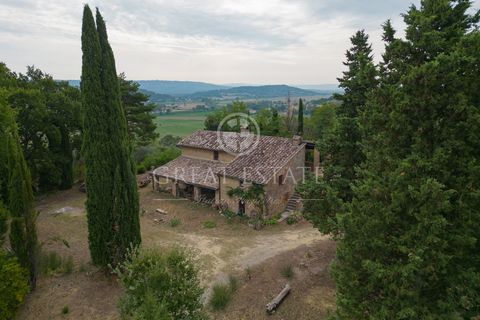 Das Bauernhaus Podere Tarlatello liegt inmitten der toskanischen Täler und ist vollständig von einer üppigen Vegetation umgeben. Es erstreckt sich über zwei Ebenen und hat eine Wohnfläche von etwa 280 Quadratmetern. Das Obergeschoss ist über eine Auß...