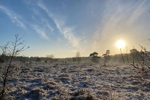 Ten szczególnie przestronny domek z ładnym ogrodem znajdziesz na niewielkim Bospark de Wervelwind w Garderen. Ciesz się śpiewem ptaków, jedząc smaczne śniadanie na tarasie lub przy złej pogodzie na pięknej szklanej werandzie. W Garderen i okolicach z...