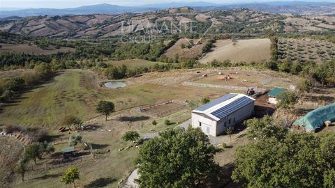 ROCCALBEGNA (GR): Organic farm with 42 hectares of land, dairy, stable and stone farmhouse used as an agritourism with swimming pool divided as follows - 30 hectares approx. of arable land currently cultivated with cereals and pasture; - approximatel...