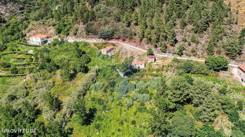 House and mill for restoration; Inserted in a plot of 5.557m2, overlooking the douro river valley. Property with great characteristics for creating a second dwelling or investment in rural tourism.
