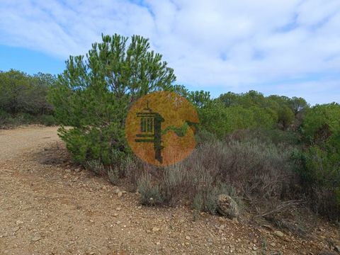 Land with 129,680 m2, Palmeira, in Alcoutim - Algarve. Land with good access. Open view of the Serra Algarvia and in the middle of nature. Land with many trees. Possibility of building a house for the farmer and agricultural support and/or warehouses...