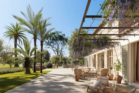 Bienvenue dans cette superbe finca majorquine à Binissalem - votre retraite à la campagne avec un accès facile à Palma. Avec 331 m² d'espace habitable, des terrasses de plus de 200 m², le tout sur un terrain de 15 005 m², elle assure la tranquillité ...