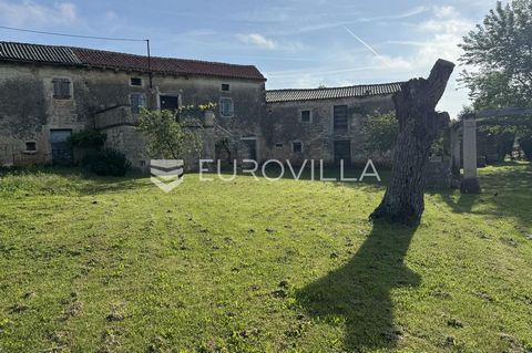 In the vicinity of Tinjan, we are selling a century-old stone house, ideal for lovers of authentic Istrian style. The estate consists of two main buildings with one 