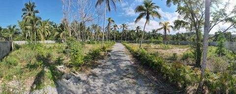 Nestled in the heart of the enchanting Coson area on the outskirts of Las Terrenas, discover a canvas of possibility on a sprawling 1,100 m2 lot awaiting the masterpiece of your dreams. This piece of prime real estate beckons those with an eye for el...