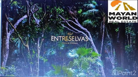 Mayan World Real Estate présente « CLUB ENTRE SELVAS TIERRA DE AVENTURAS » Yucatan. Une expérience, un lieu, mais surtout une communauté qui apprend du lieu et vit notre jungle. Ici commence VOTRE AVENTURE, ENTRE JUNGLES est un développement avec une...