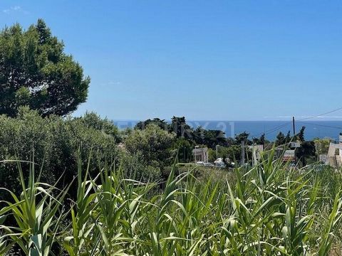 Land with 10,675 m2, for construction of 15 to 18 villas, in the parish of Santiago, in Sesimbra. The area covered by the project has sea views (10 minutes walk to the beach) and is developed in a quiet area with excellent road access. According to t...