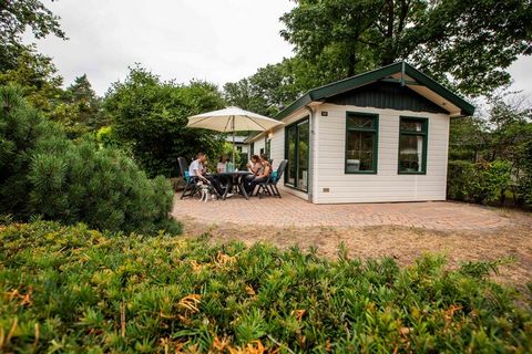 Dit vrijstaande en gelijkvloerse chalet staat op het bosrijke Recreatiepark 't Gelloo. Midden op de prachtige Veluwe en toch maar 6,5 km. van het gezellige centrum van de stad Ede. Het chalet is compleet en comfortabel ingericht. U beschikt over een ...